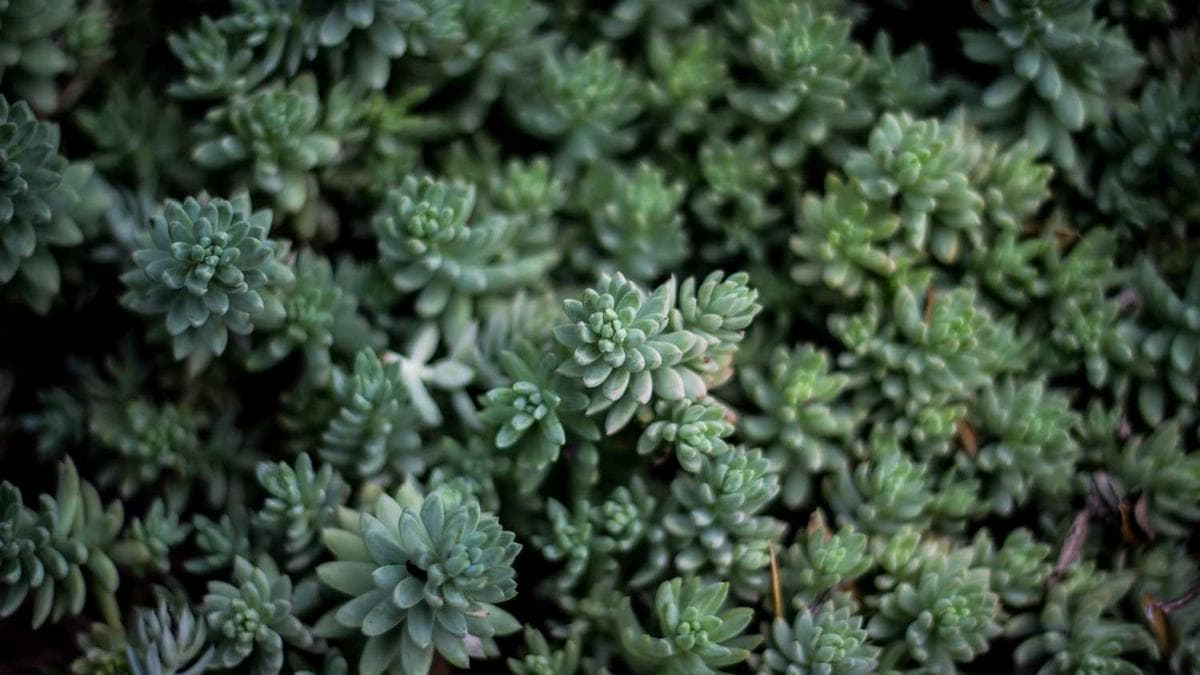 The Art of Musical Collaboration: Building Successful Creative Partnerships