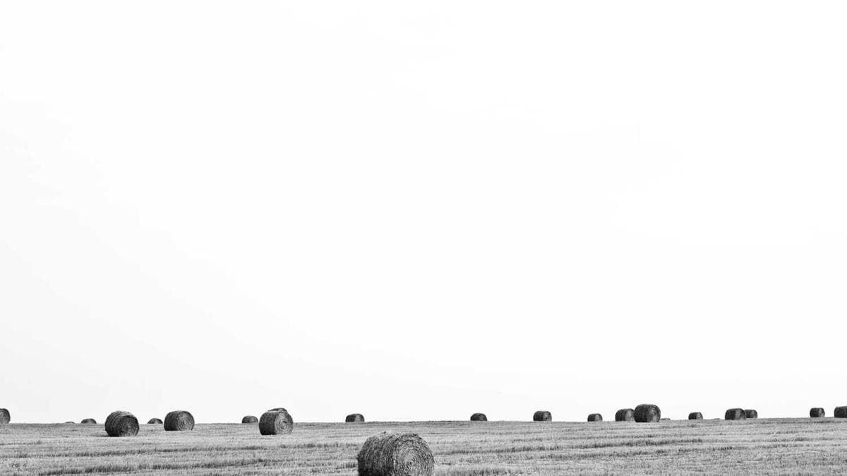 From Studio to Stage: Working with Live Orchestras